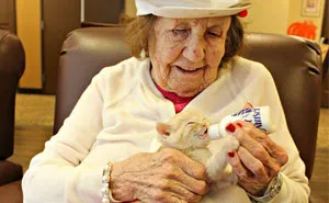 Animal Shelter Partners With Elderly Care Facility To Save Both Orphaned Kittens And Elders