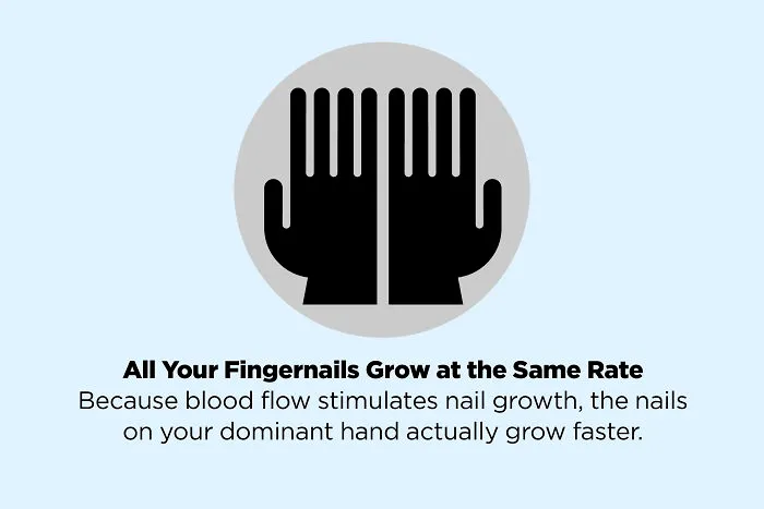 These 50 Facts You Always Believed Are Actually Fake