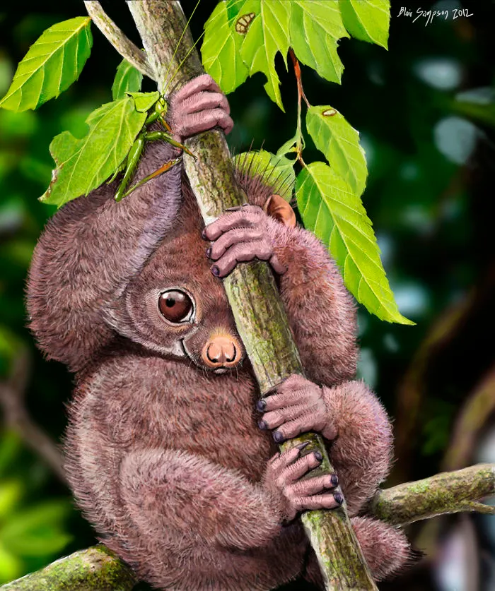 Cute Portraits Of Unexpected Animal Buddies By Blair Sampson
