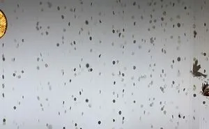 Icarus Realized - An Organics Based Installation In Response To Fermi's Paradox