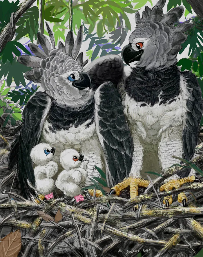 Cute Portraits Of Unexpected Animal Buddies By Blair Sampson