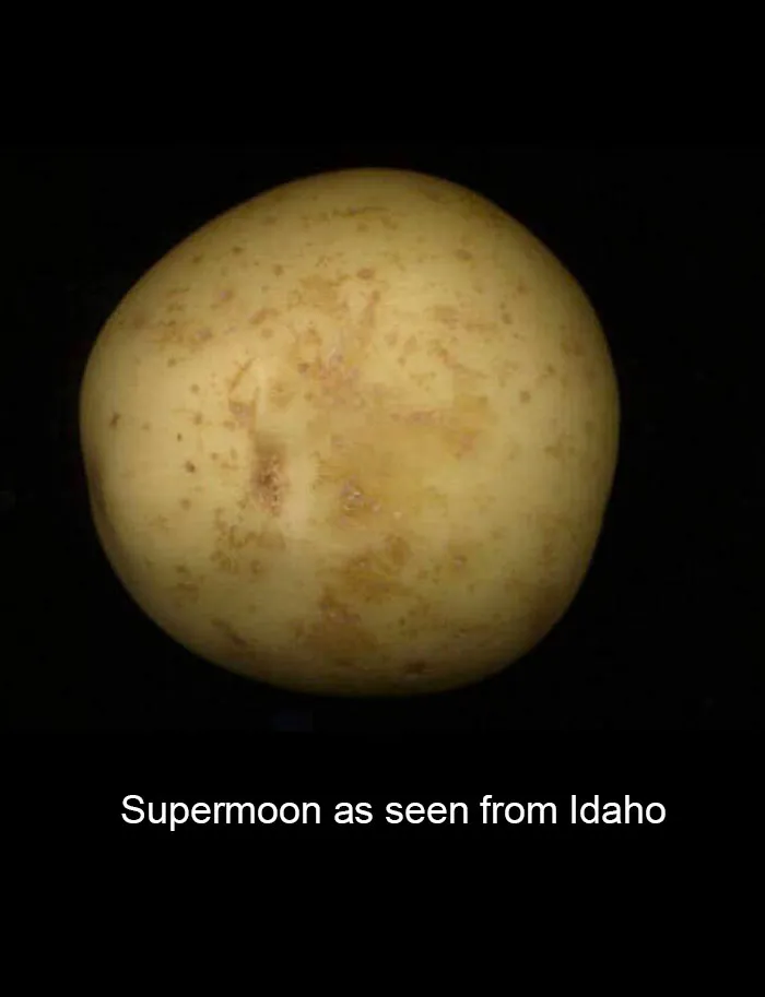 76 Hilarious Reactions To The Disappointing Supermoon