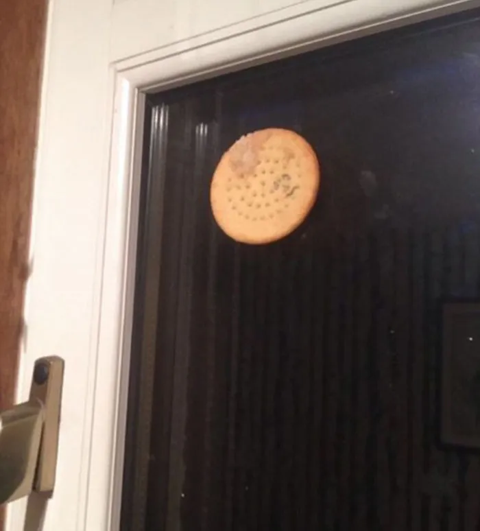 76 Hilarious Reactions To The Disappointing Supermoon