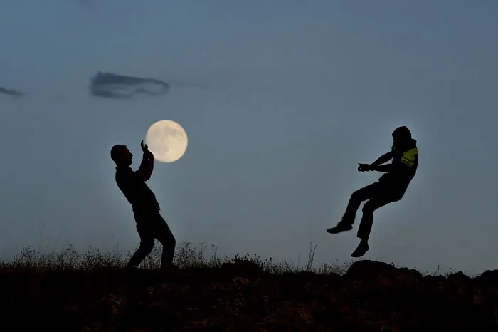 76 Hilarious Reactions To The Disappointing Supermoon