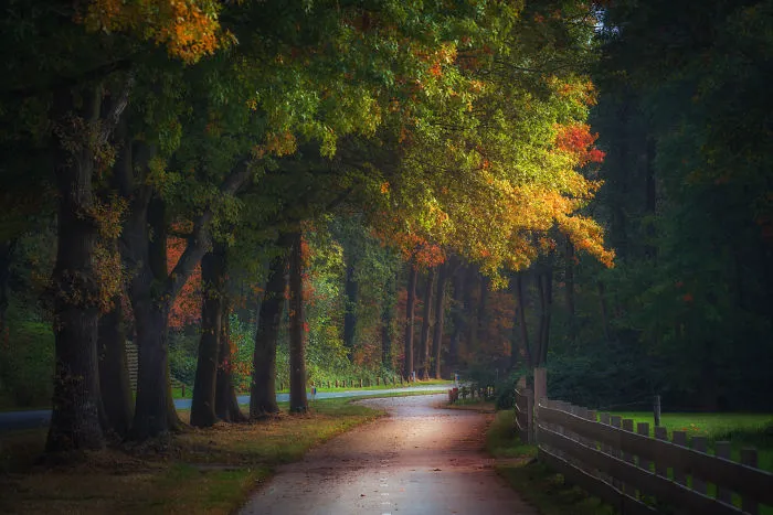 Seasons Change