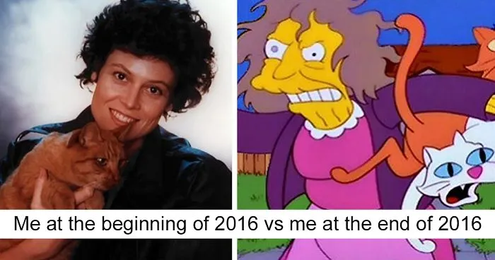 76 Hilarious Before-And-After Transformation Pics Show How 2016 Changed People