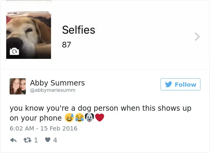 126 Of The Best Dog Tweets Of 2016