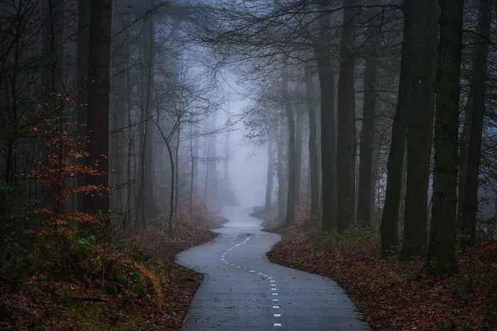 Curvy Path