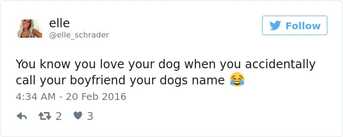 126 Of The Best Dog Tweets Of 2016