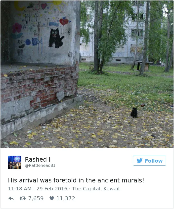 103 Of The Best Cat Tweets Of 2016