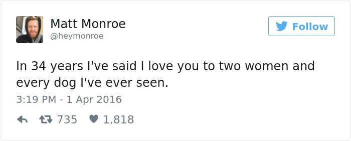 126 Of The Best Dog Tweets Of 2016