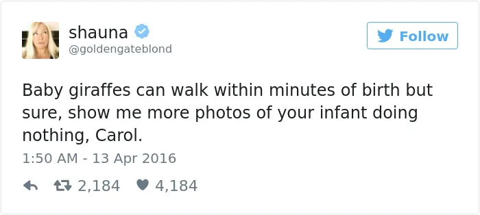 229 Of The Funniest Tweets From Women In 2016