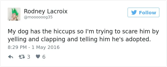 126 Of The Best Dog Tweets Of 2016