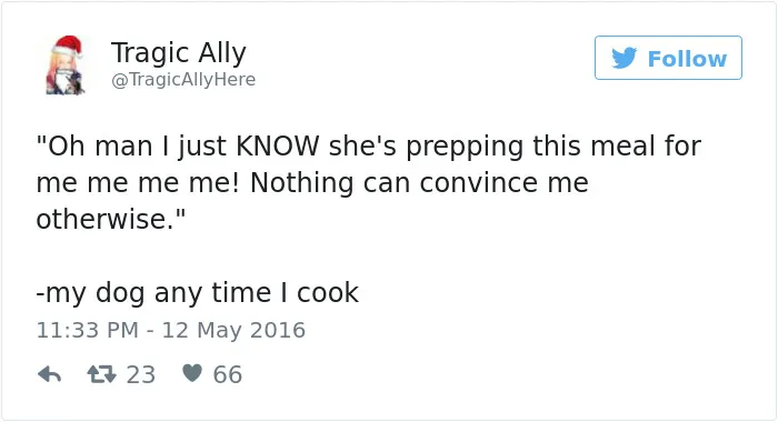 126 Of The Best Dog Tweets Of 2016