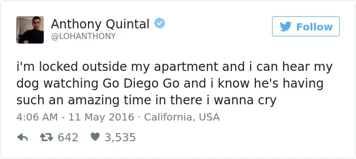 126 Of The Best Dog Tweets Of 2016