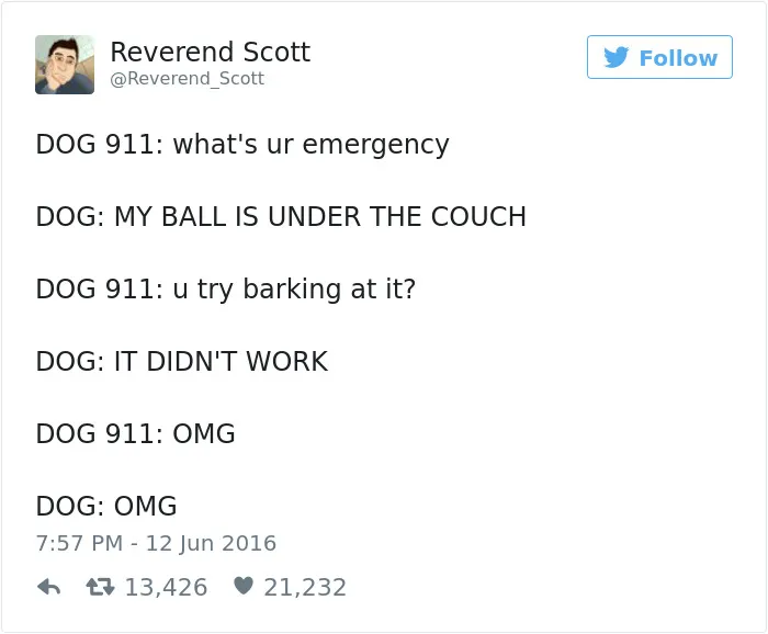 126 Of The Best Dog Tweets Of 2016
