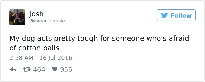 126 Of The Best Dog Tweets Of 2016