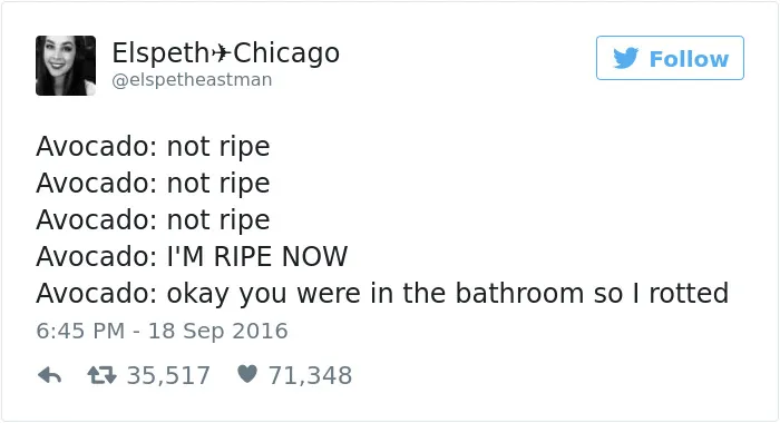 229 Of The Funniest Tweets From Women In 2016