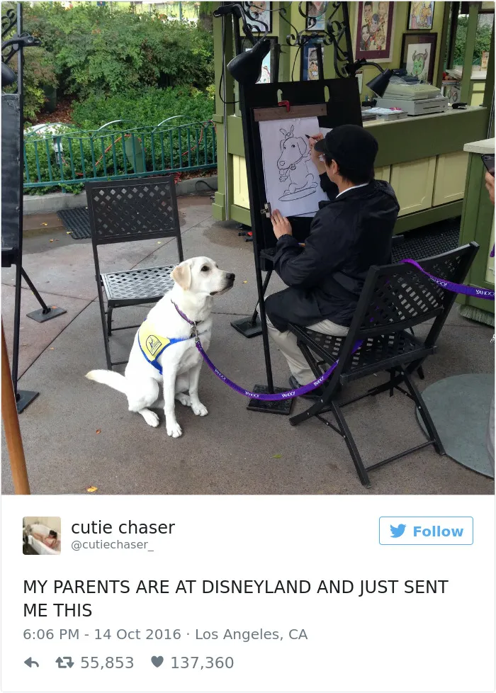 126 Of The Best Dog Tweets Of 2016