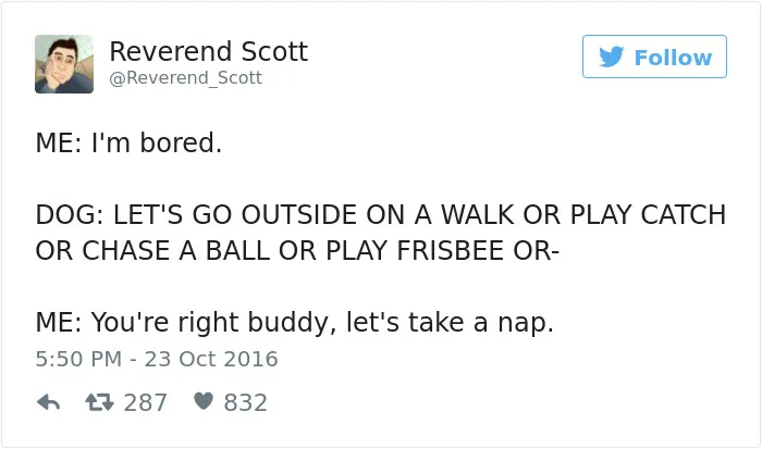 126 Of The Best Dog Tweets Of 2016