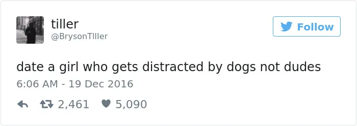 126 Of The Best Dog Tweets Of 2016