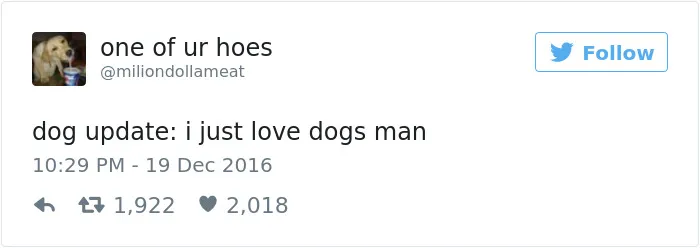 126 Of The Best Dog Tweets Of 2016