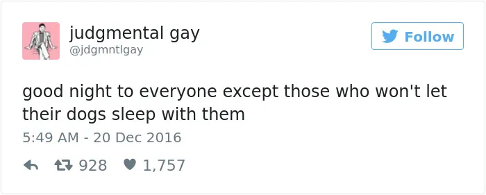 126 Of The Best Dog Tweets Of 2016