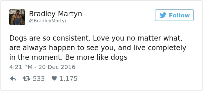 126 Of The Best Dog Tweets Of 2016