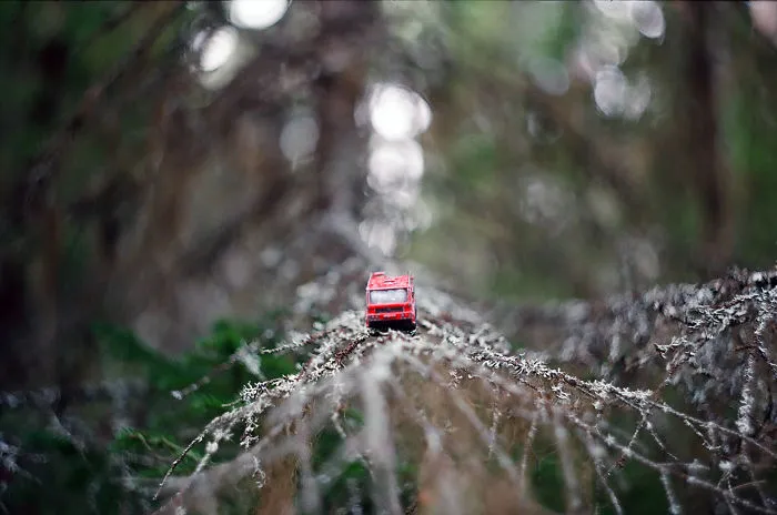 Forest Adventures Of The Fire Truck