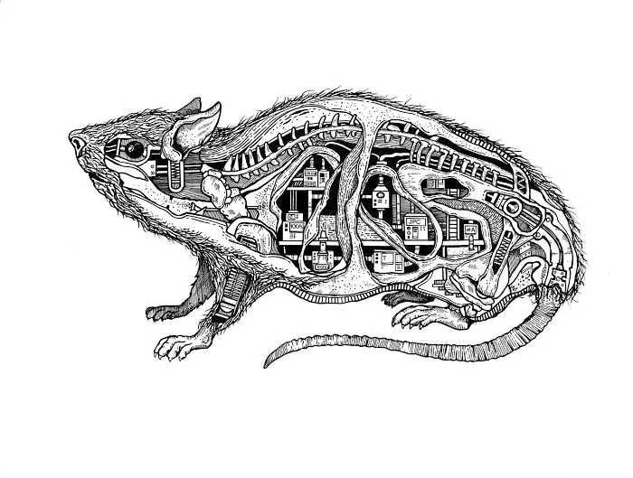 Mr Rat 
illustration Pen On Paper