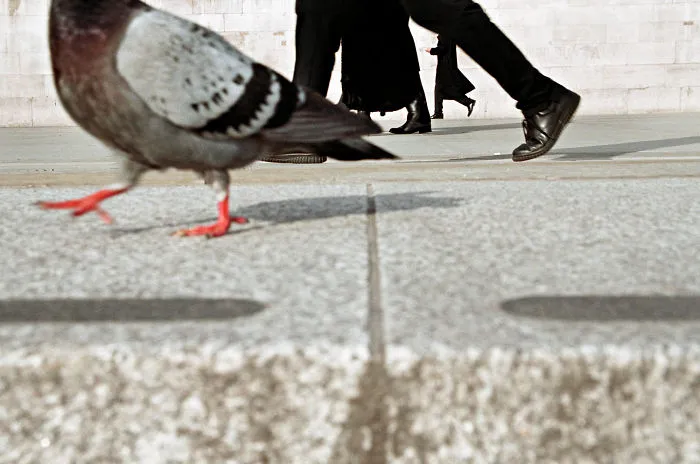 10 Of The Greatest Living Street Photographers In The World