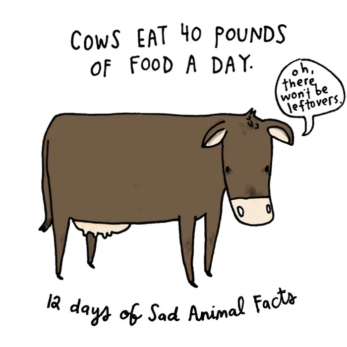 On The Eighth Day Of Christmas My True Love Gave To Me: Eight Hungry Maids-a-milking