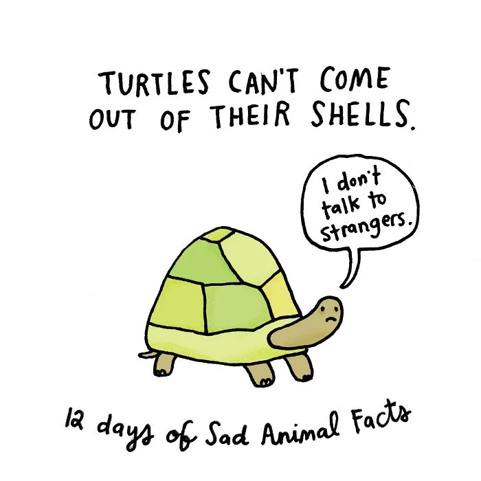 On The Second Day Of Christmas My True Love Gave To Me: Two Shy-as-doves Turtles