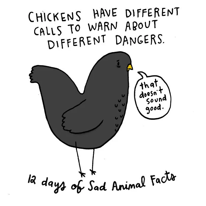 On The Third Day Of Christmas My True Love Gave To Me: Three French Hens In Danger