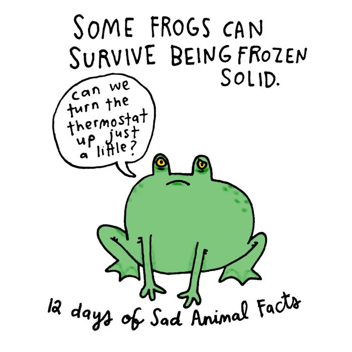 On The Tenth Day Of Christmas My True Love Gave To Me: Ten Cold Lords Too Cold To Leap