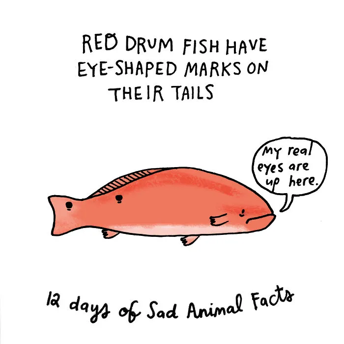 On The Twelfth Day Of Christmas My True Love Gave To Me: Twelve Drummers With 24 Sets Of Eyes