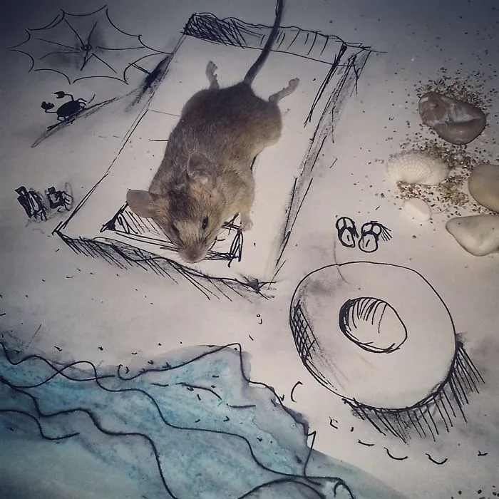 I Turn Everyday Life Objects Into Drawings