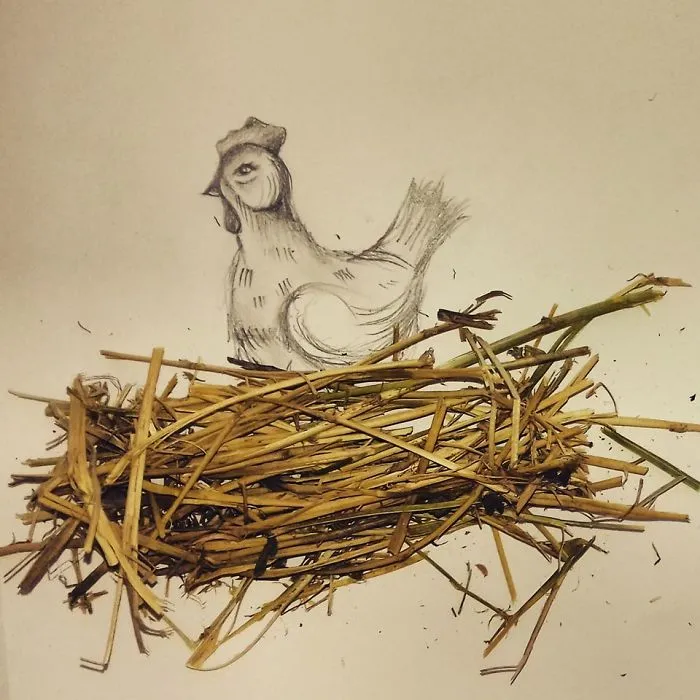I Turn Everyday Life Objects Into Drawings