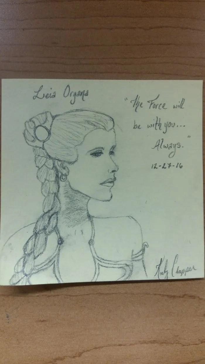 290 Touching Tributes To Late Carrie Fisher By Artists Around The World