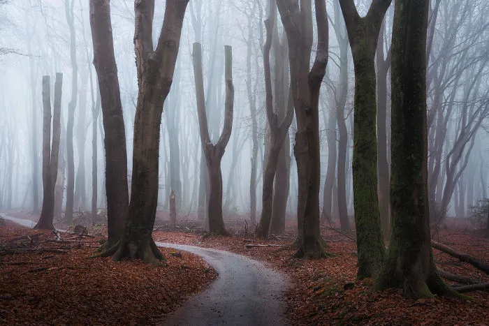 Golem Road