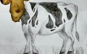 I Turn Everyday Life Objects Into Drawings
