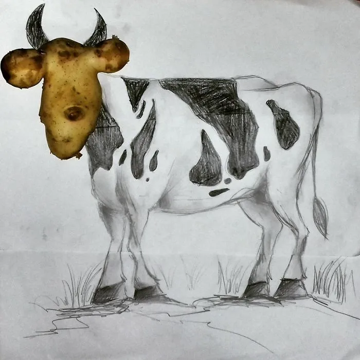 I Draw Sketches With Everyday Objects