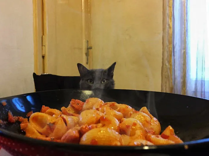Did Somebody Say Food??
