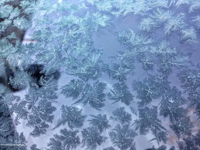 Frostwor ❗❄️❄(jégvirág)