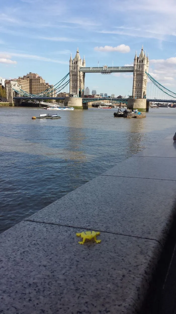 Frogtrotter, My Travelling Frog