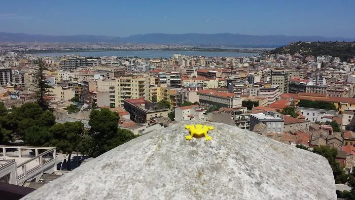 Frogtrotter, My Travelling Frog