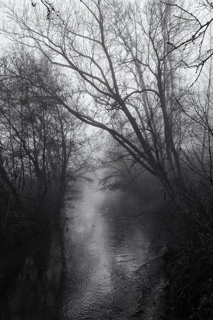 Misty Morning