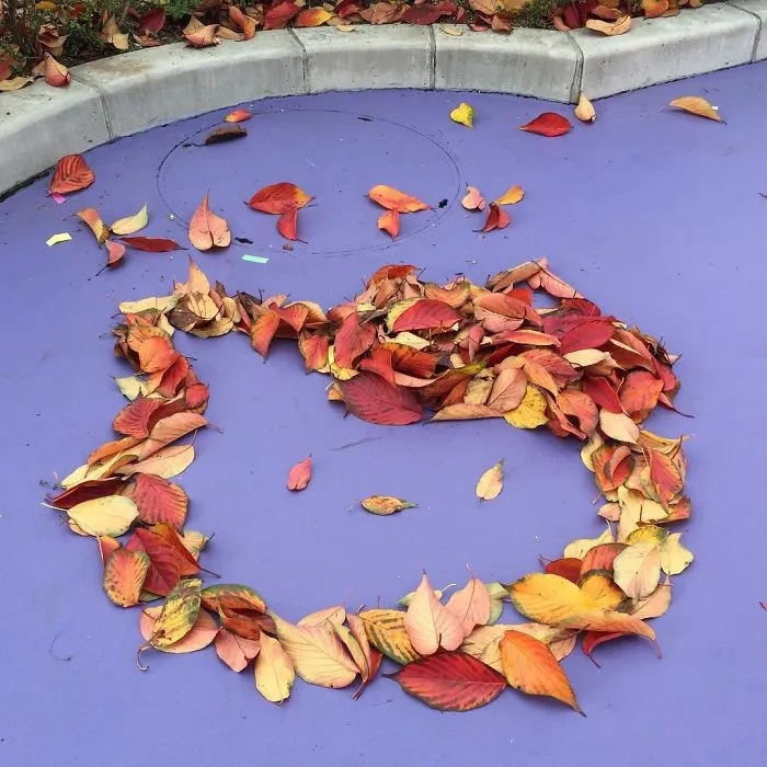 Japanese Are Going Crazy About The Fallen Leaves, Turn Them Into Art