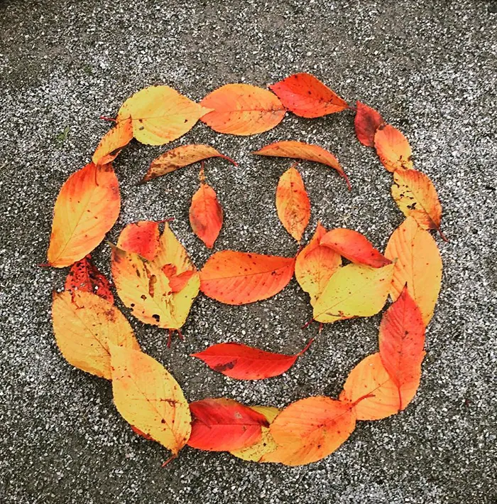 Japanese Are Going Crazy About The Fallen Leaves, Turn Them Into Art