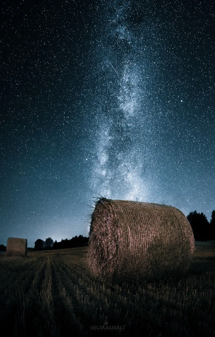 Harvest